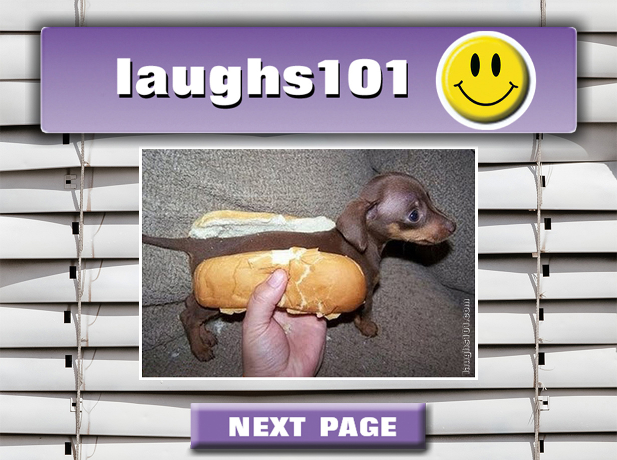 laughs101 home page