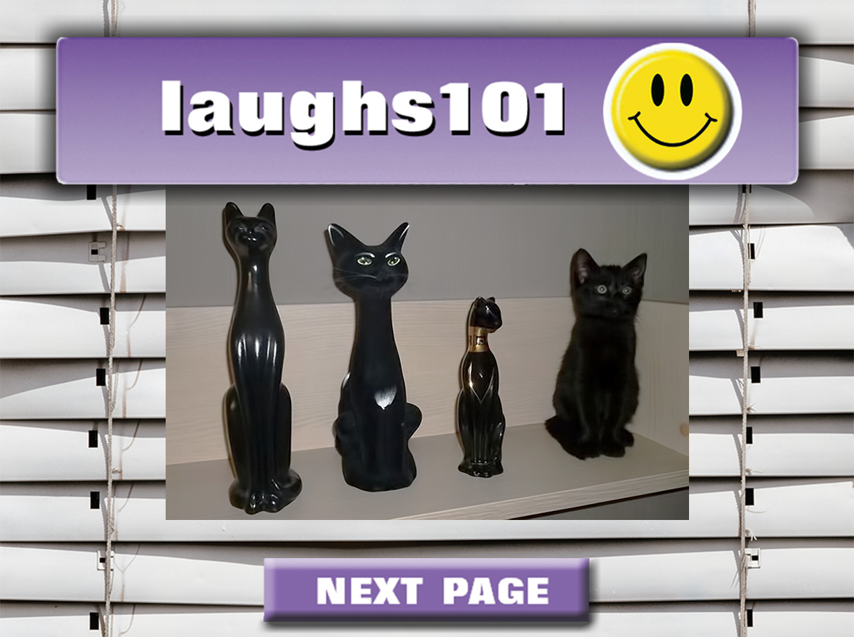 laughs101 home page